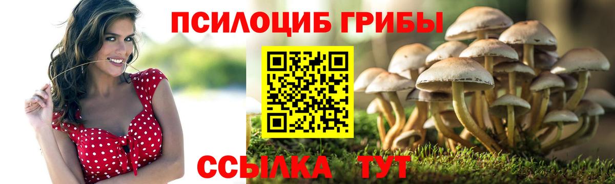 Псилоцибиновые грибы прущие грибы  Вход с VPN  Галлюциногенные грибы Psilocybe  Славянск-на-Кубани 